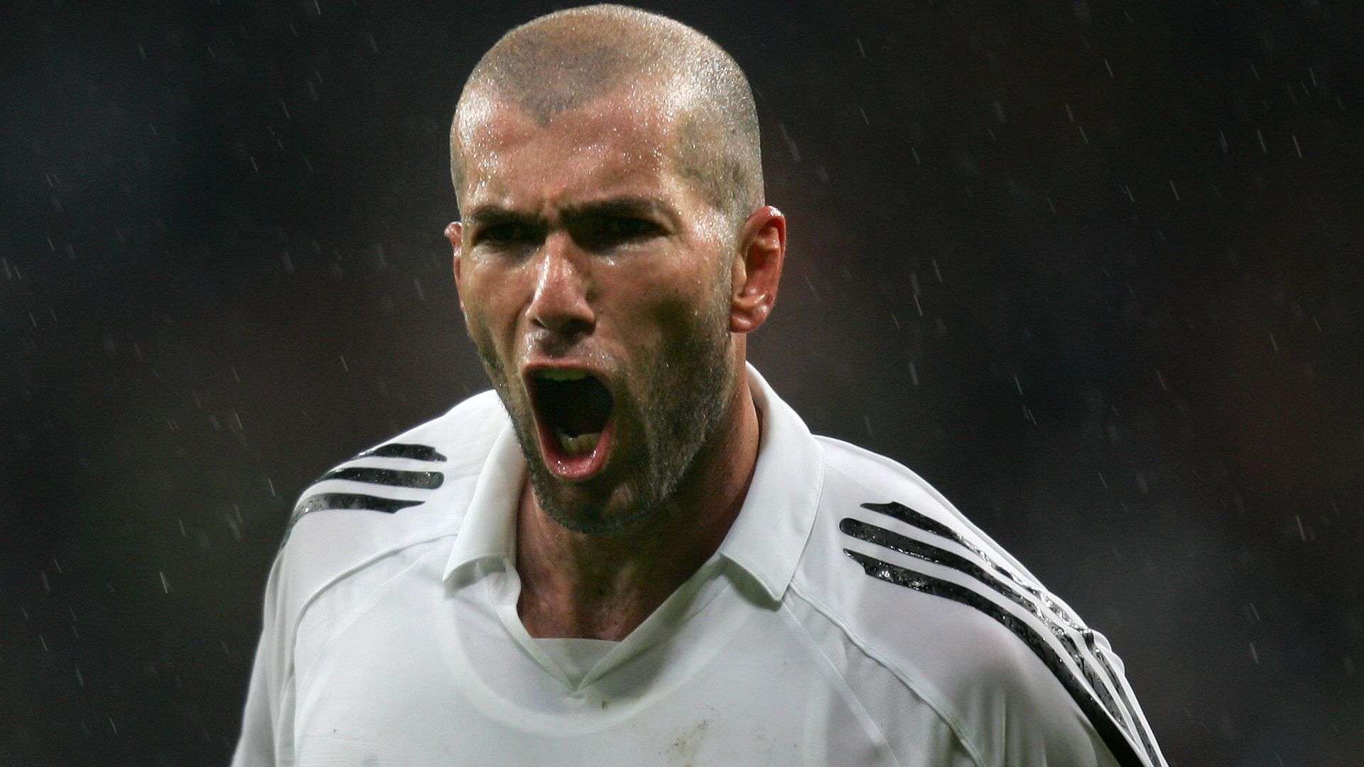 包括球队的 包括球队的